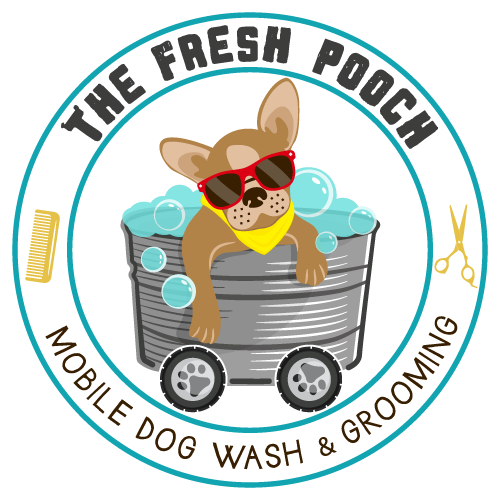 A closer look at Cheap Mobile Pet Grooming Services
